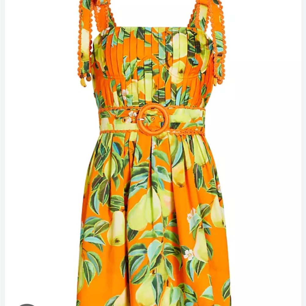 Vibrant Orange Dress with Pear Print